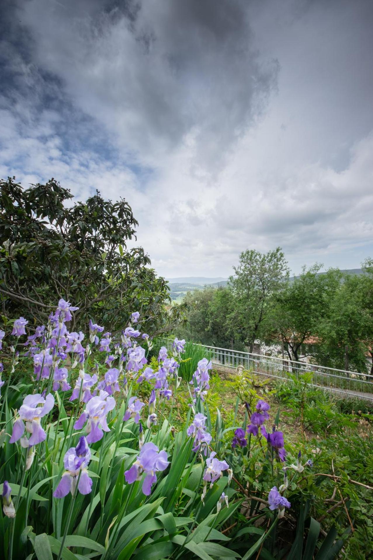 Villa Panoramica Garden Bike Massa Marittima Ngoại thất bức ảnh